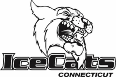 ICECATS CONNECTICUT Logo (USPTO, 22.12.2019)