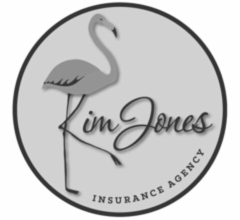 KIM JONES INSURANCE AGENCY Logo (USPTO, 06/19/2020)