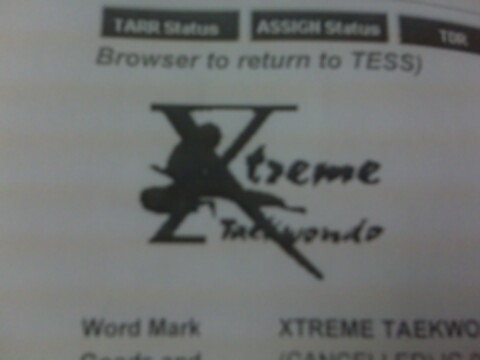 XTREME TAEKWONDO Logo (USPTO, 07.04.2009)