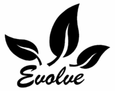 EVOLVE Logo (USPTO, 20.03.2014)