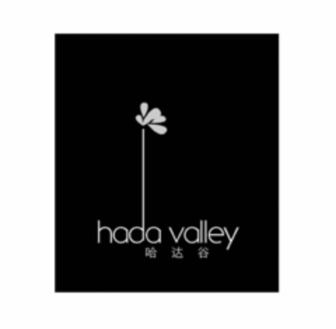 HADA VALLEY Logo (USPTO, 29.04.2014)