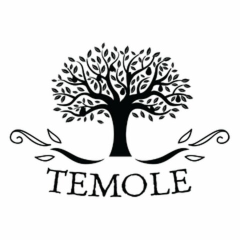 TEMOLE Logo (USPTO, 15.06.2016)