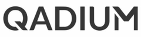 QADIUM Logo (USPTO, 06/17/2016)