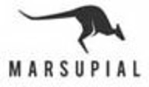 MARSUPIAL Logo (USPTO, 10.04.2017)