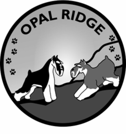 OPAL RIDGE Logo (USPTO, 20.07.2010)