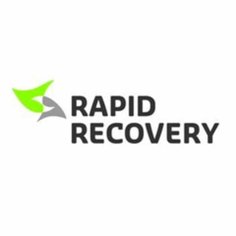 RAPID RECOVERY Logo (USPTO, 08/04/2011)