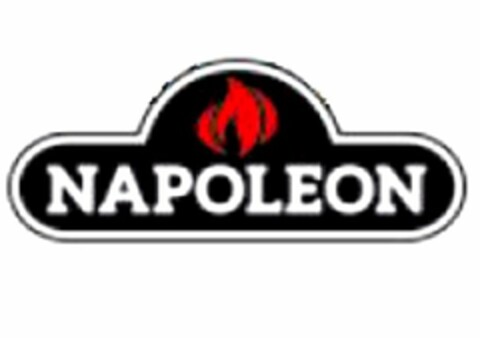 NAPOLEON Logo (USPTO, 07.10.2015)