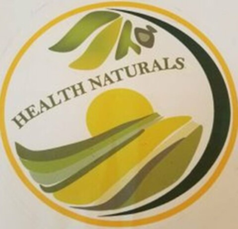 HEALTH NATURALS Logo (USPTO, 08/03/2018)