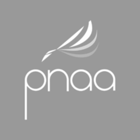 PNAA Logo (USPTO, 17.12.2018)