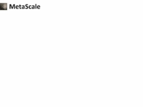 METASCALE Logo (USPTO, 10.02.2012)