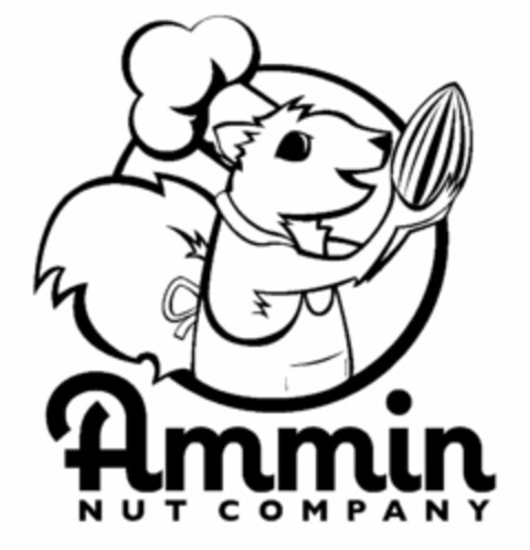 AMMIN NUT COMPANY Logo (USPTO, 03.05.2012)