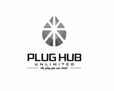 PLUG HUB UNLIMITED THE PLUG YOU CAN TRUST! Logo (USPTO, 05/11/2018)