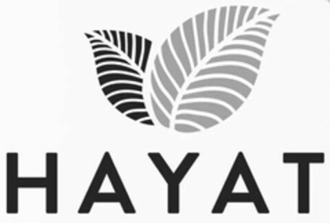 HAYAT Logo (USPTO, 04.04.2019)