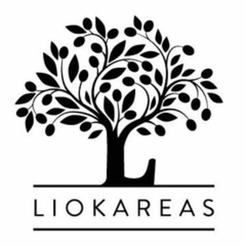 LIOKAREAS Logo (USPTO, 29.01.2020)