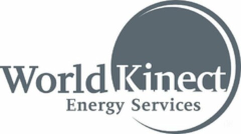 WORLD KINECT ENERGY SERVICES Logo (USPTO, 03/27/2020)