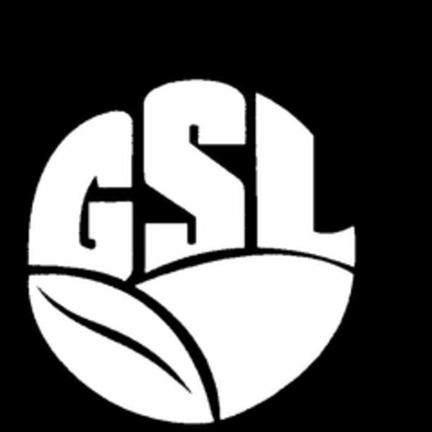 GSL Logo (USPTO, 12.03.2010)