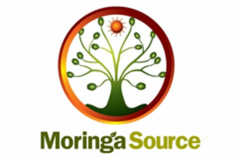 MORINGA SOURCE Logo (USPTO, 05.04.2013)