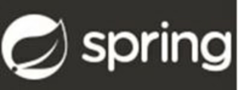 SPRING Logo (USPTO, 28.04.2016)
