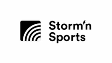 STORM N SPORTS Logo (USPTO, 17.04.2017)