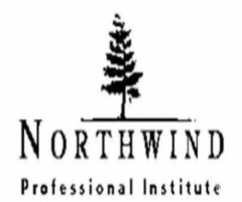 NORTHWIND PROFESSIONAL INSTITUTE Logo (USPTO, 12.05.2017)