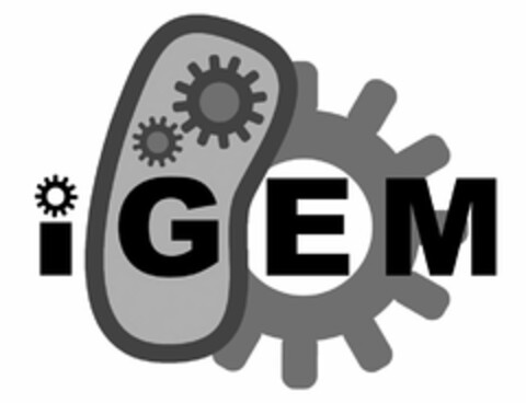 IGEM Logo (USPTO, 23.01.2018)