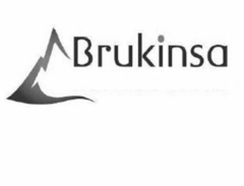 BRUKINSA Logo (USPTO, 24.09.2018)