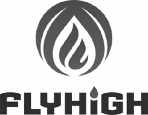 FLYHIGH Logo (USPTO, 01.06.2020)