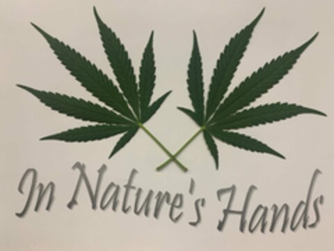 IN NATURE'S HANDS Logo (USPTO, 10.08.2020)