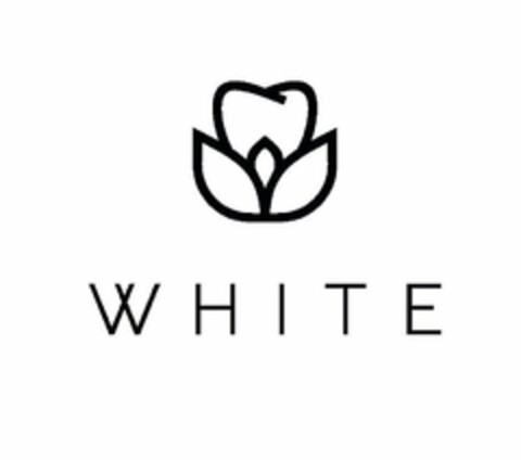 WHITE Logo (USPTO, 06.09.2020)