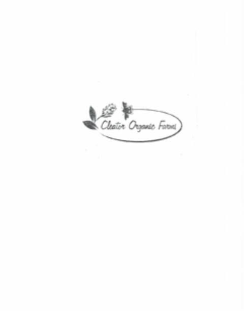 CLEATOR ORGANIC FARMS Logo (USPTO, 21.04.2009)