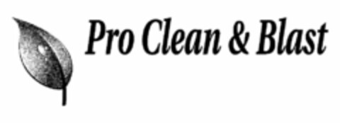 PRO CLEAN & BLAST Logo (USPTO, 06/22/2010)