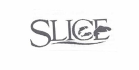 SLICE Logo (USPTO, 13.06.2017)