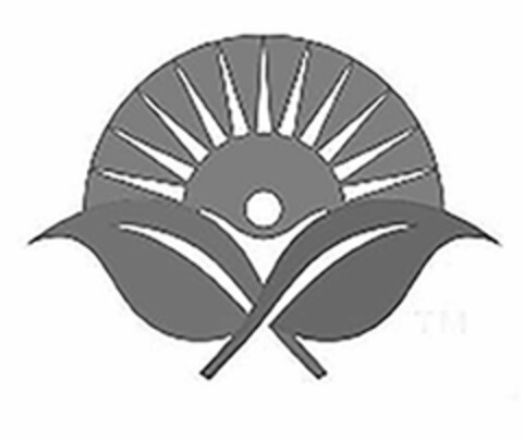  Logo (USPTO, 25.06.2018)