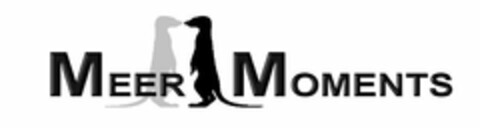 MEER MOMENTS Logo (USPTO, 22.01.2019)