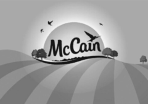 MCCAIN Logo (USPTO, 16.08.2019)