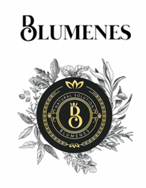 B BLUMENES NATURAL SOLUTION Logo (USPTO, 07.02.2020)
