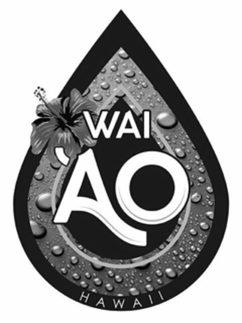 WAIAO HAWAII Logo (USPTO, 03/03/2020)