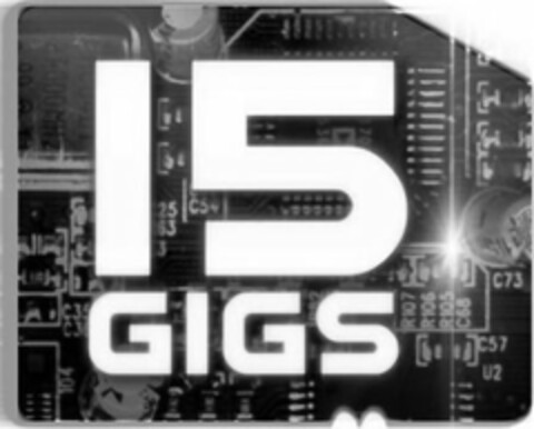 15 GIGS Logo (USPTO, 11/18/2009)