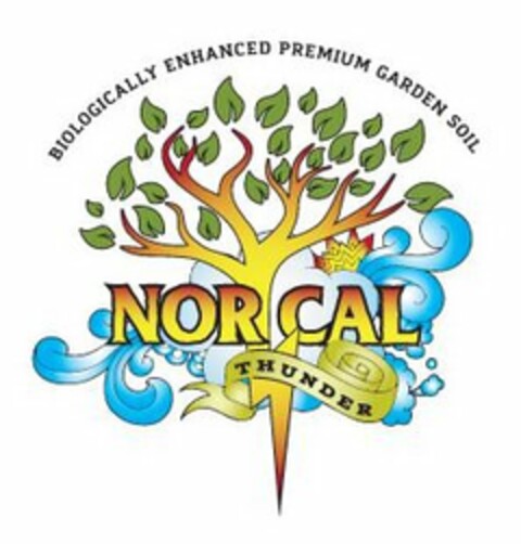 BIOLOGICALLY ENHANCED PREMIUM GARDEN SOIL NOR CAL THUNDER Logo (USPTO, 09/24/2015)