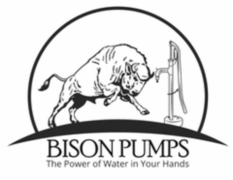 BISON PUMP THE POWER OF WATER IN YOUR HANDS Logo (USPTO, 14.07.2017)
