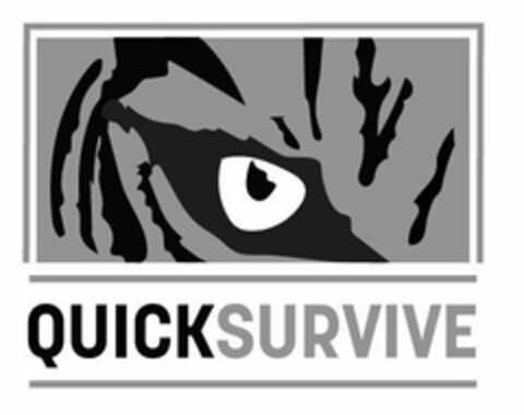 QUICKSURVIVE Logo (USPTO, 31.01.2019)