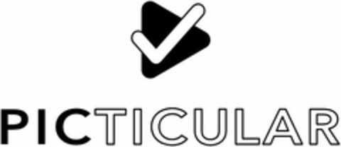 PICTICULAR Logo (USPTO, 17.05.2019)