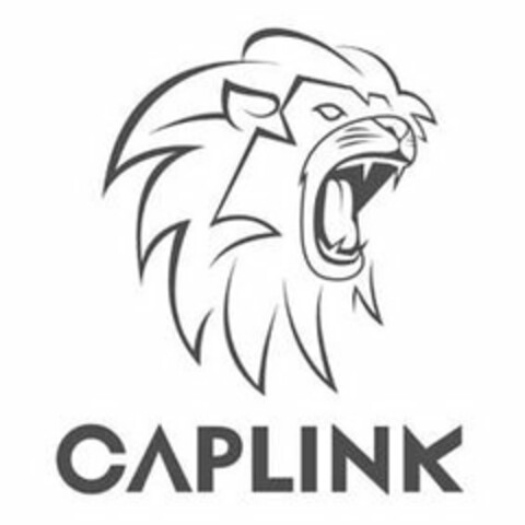CAPLINK Logo (USPTO, 10.09.2019)