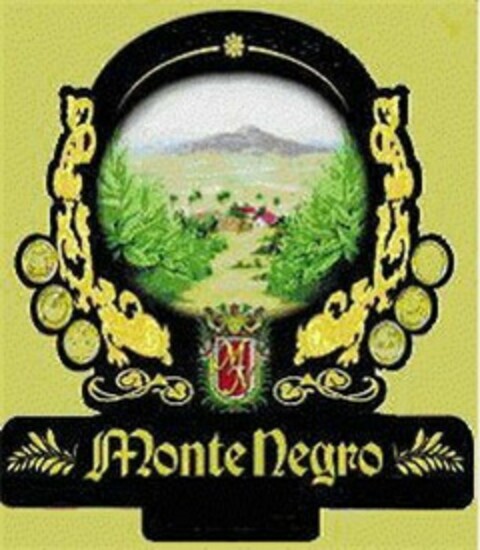 MONTE NEGRO Logo (USPTO, 12/29/2008)