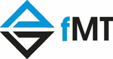 FMT Logo (USPTO, 06/01/2009)