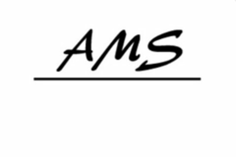 AMS Logo (USPTO, 11.02.2010)