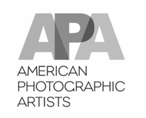 APA AMERICAN PHOTOGRAPHIC ARTISTS Logo (USPTO, 07/13/2010)