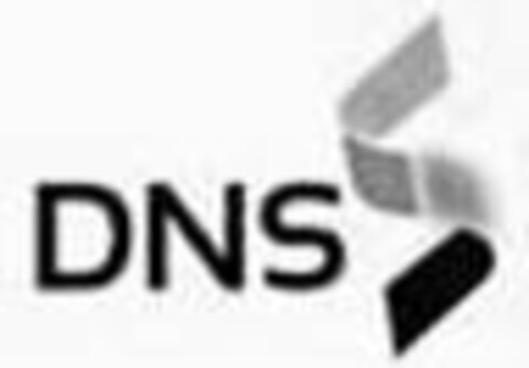 DNS Logo (USPTO, 24.02.2017)