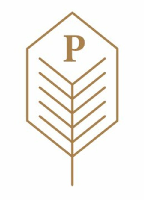 P Logo (USPTO, 29.01.2018)