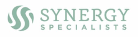 SYNERGY SPECIALISTS Logo (USPTO, 19.06.2018)